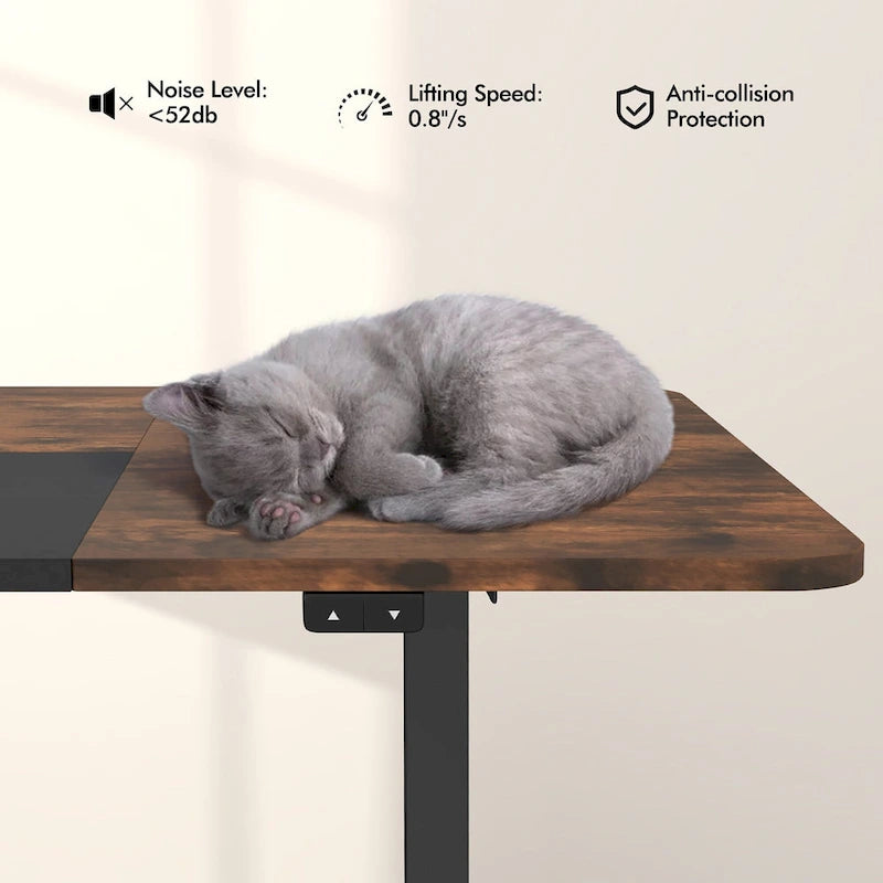 Gymax 55 Bureau Debout Électrique Réglable en Hauteur pour Bureau à Domicile