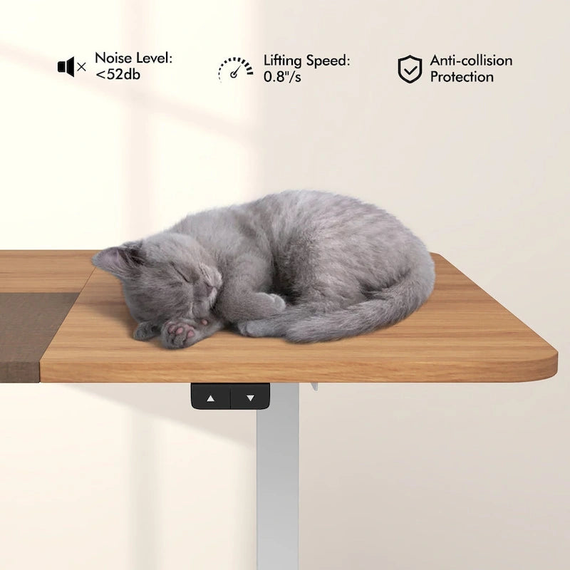 Gymax 55 Bureau Debout Électrique Réglable en Hauteur pour Bureau à Domicile