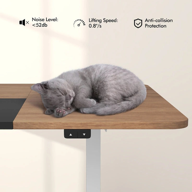 Gymax 55 Bureau Debout Électrique Réglable en Hauteur pour Bureau à Domicile