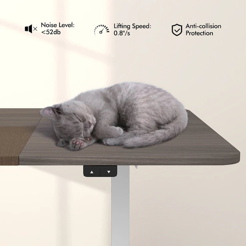 Gymax 55 Bureau Debout Électrique Réglable en Hauteur pour Bureau à Domicile