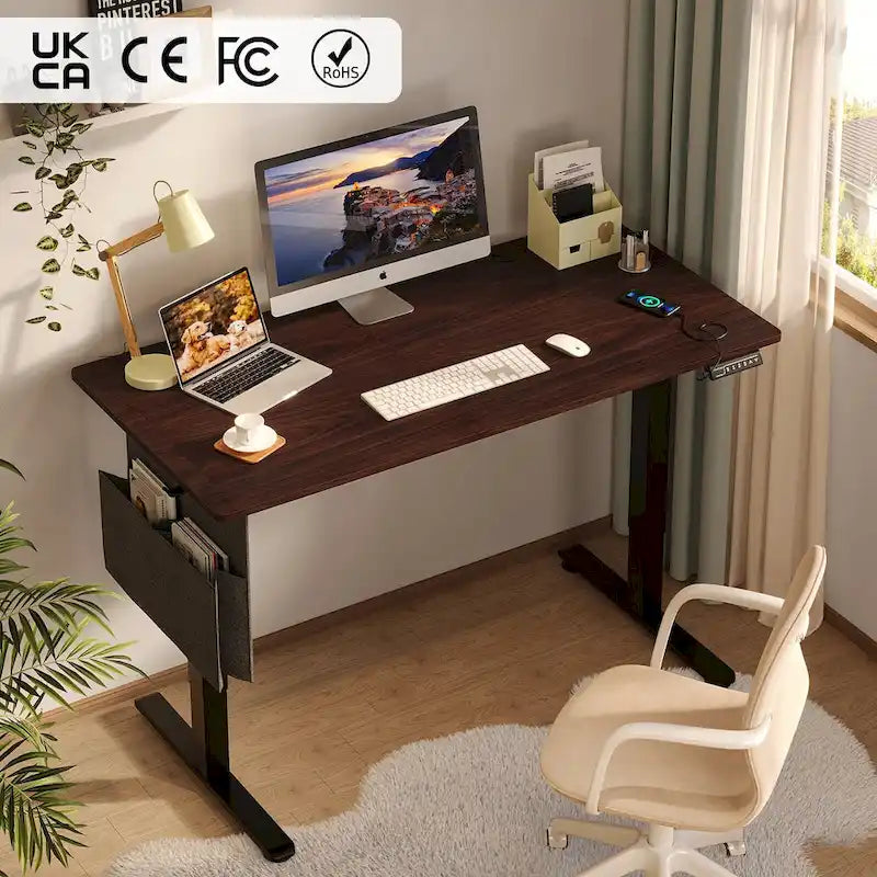 Bureau Debout Électrique Ergonomique, Bureau d'Ordinateur, Table Réglable en Hauteur avec Port USB